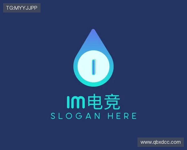 介绍IM平台